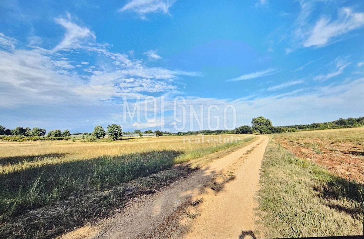 Zemljišče Cerjani, Kaštelir-Labinci, 32.600m2