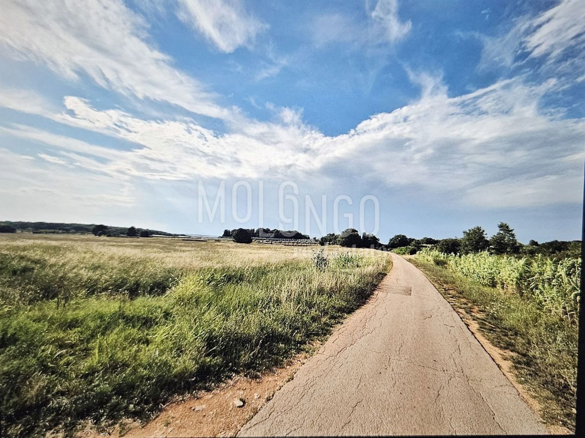 Zemljišče Cerjani, Kaštelir-Labinci, 32.600m2