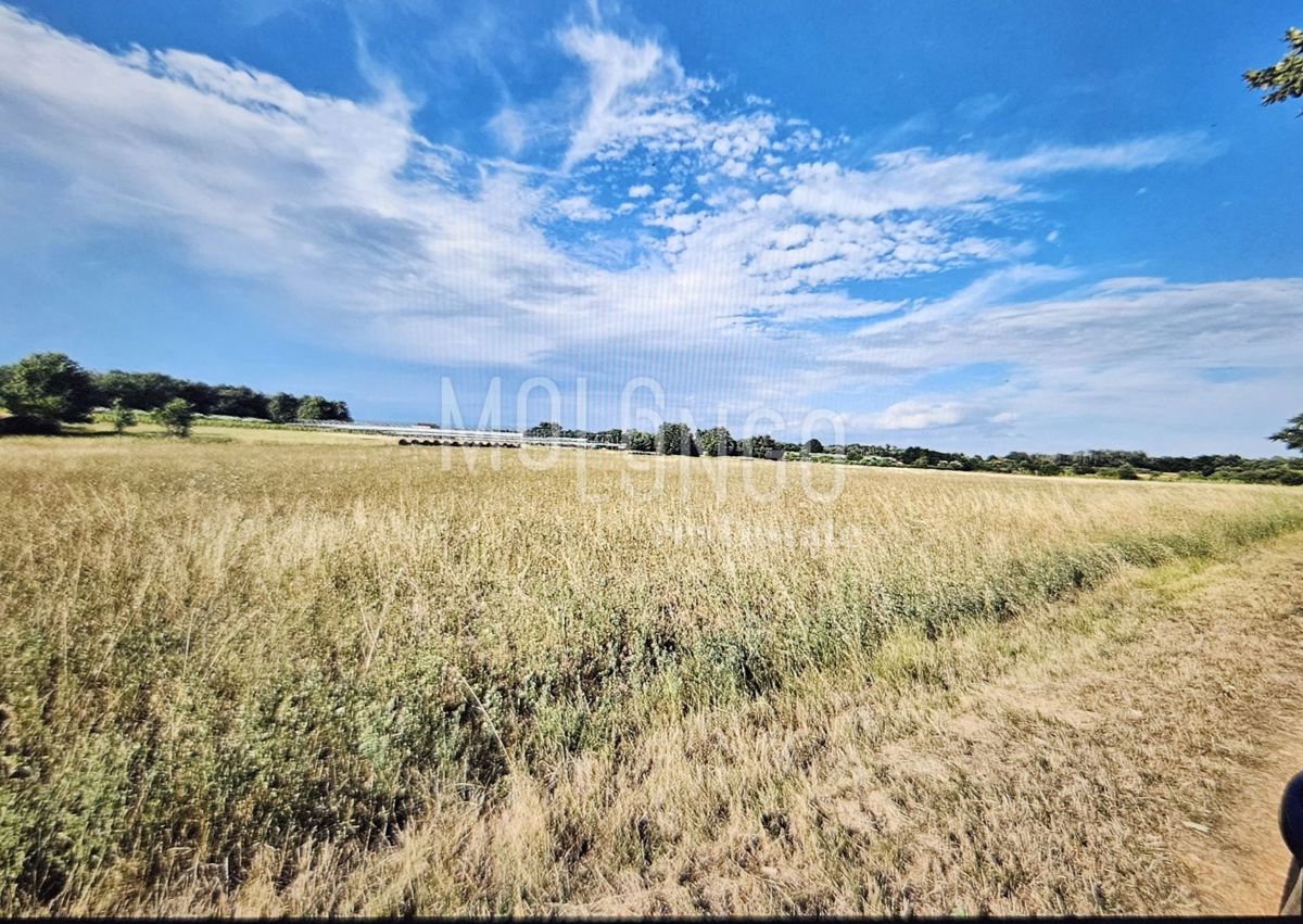 Zemljišče Cerjani, Kaštelir-Labinci, 32.600m2