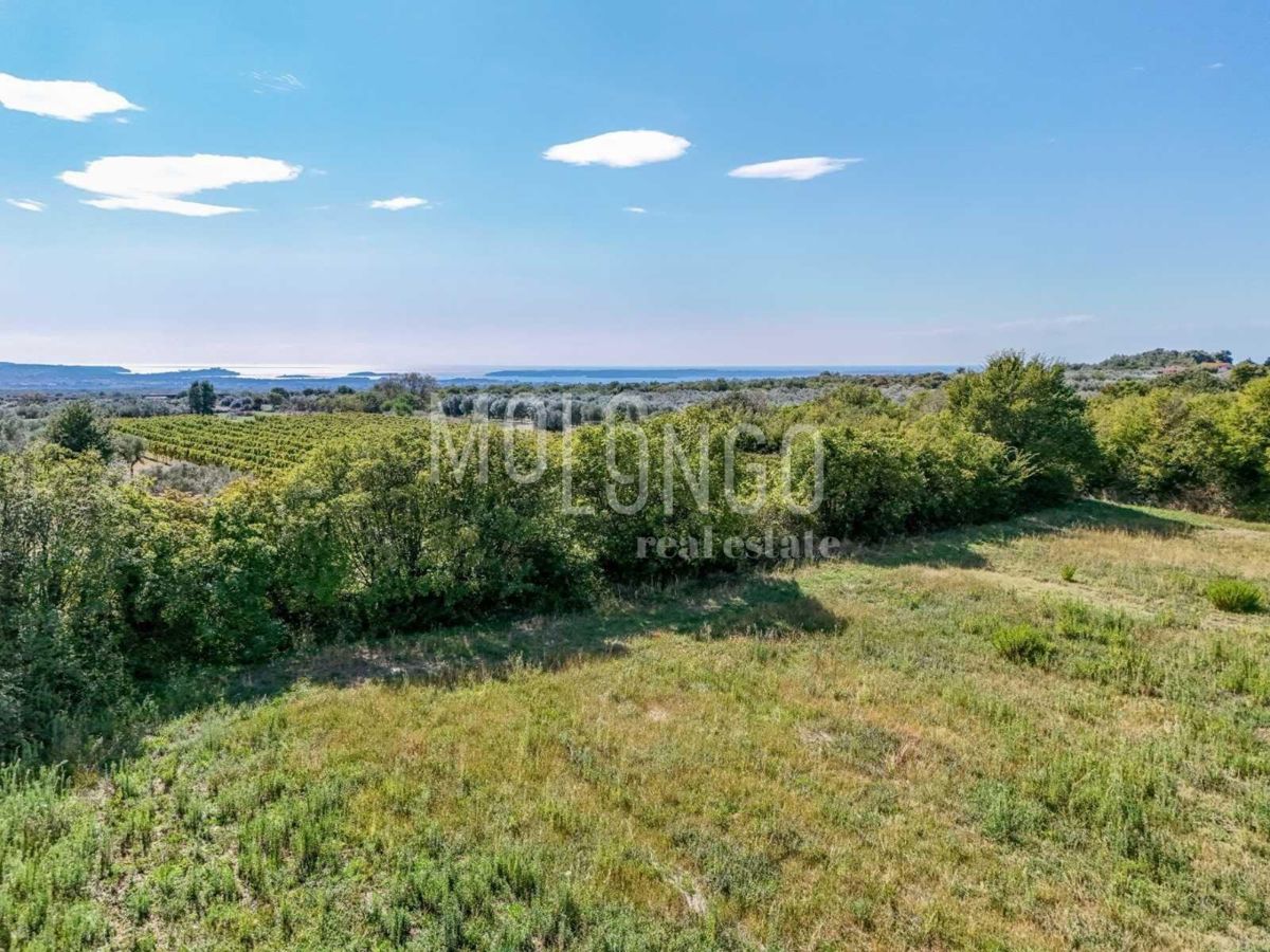 ISTRA, VODNJAN - Građevinsko zemljište s otvorenim pogledom na more