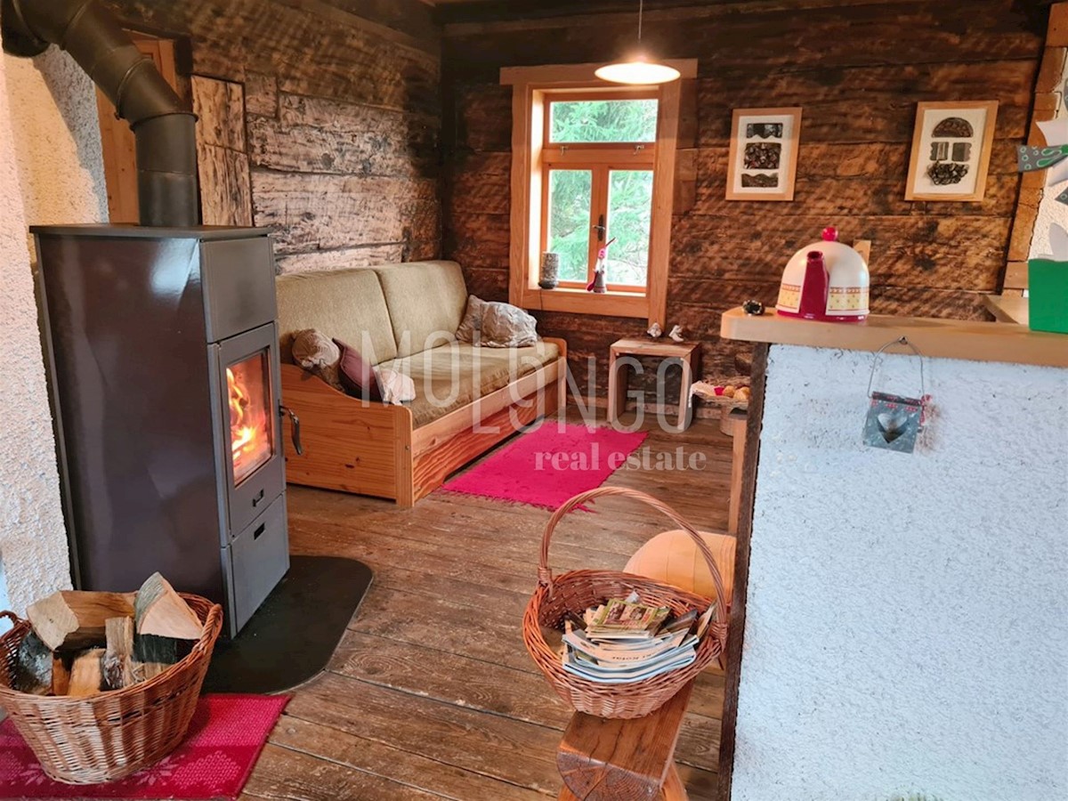 Hiša Begovo Razdolje, Mrkopalj, 210m2