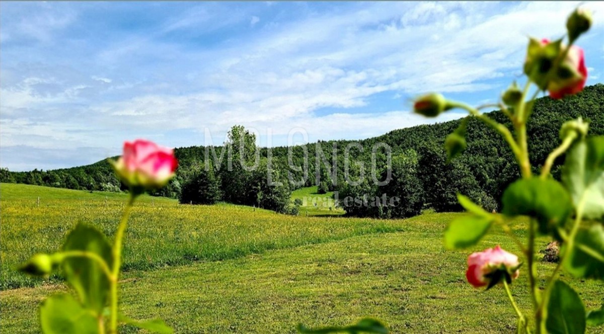 Hiša Begovo Razdolje, Mrkopalj, 210m2