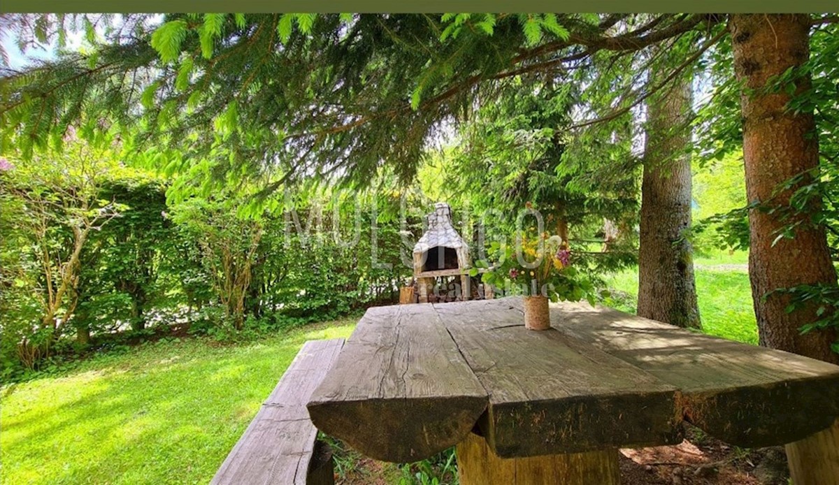 Hiša Begovo Razdolje, Mrkopalj, 210m2