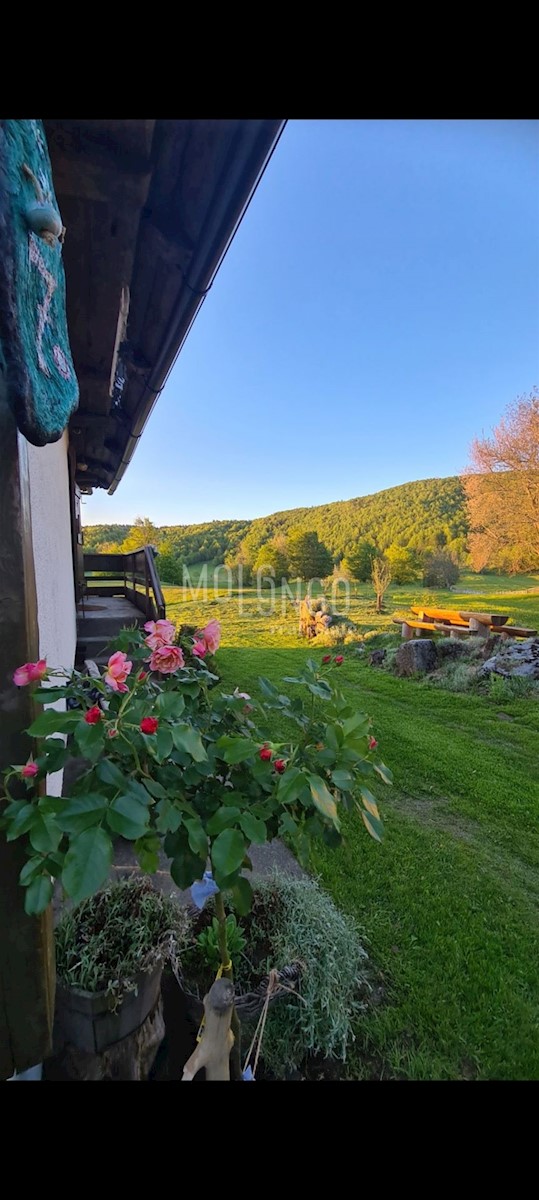 Hiša Begovo Razdolje, Mrkopalj, 210m2