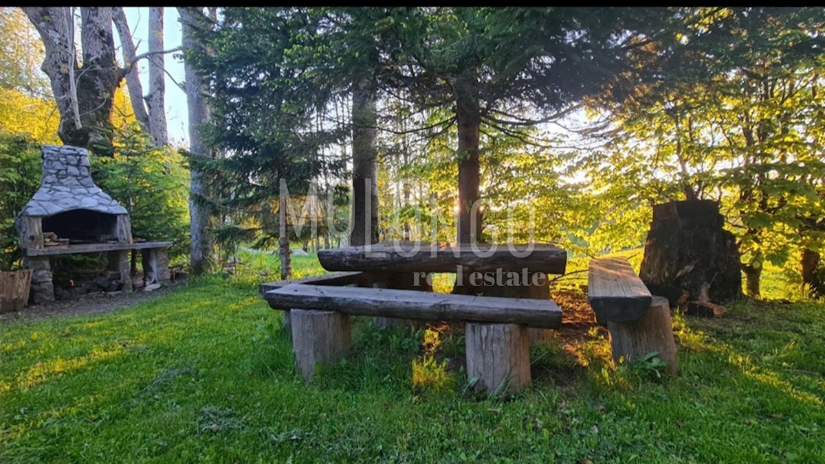 Hiša Begovo Razdolje, Mrkopalj, 210m2