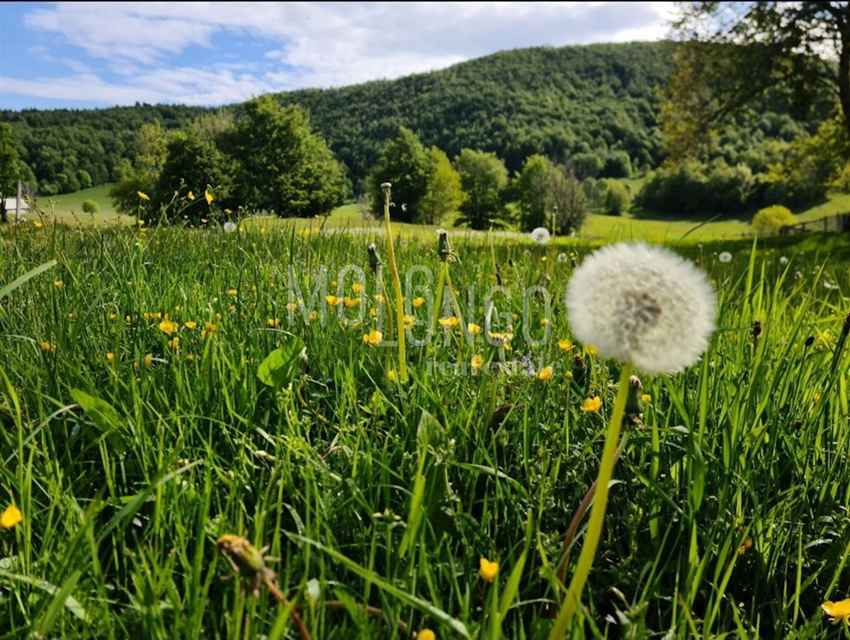 Hiša Begovo Razdolje, Mrkopalj, 210m2