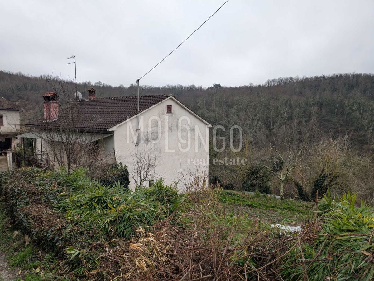 Hiša Stari Pazin, Pazin, 260m2