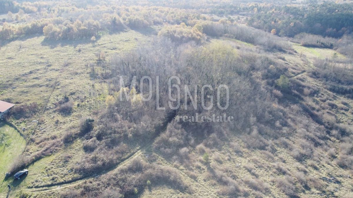 Zemljišče Trviž, Pazin - Okolica, 20.700m2