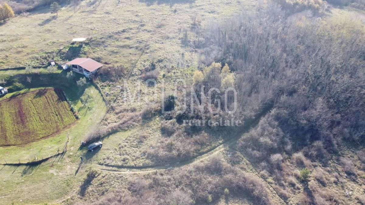 Zemljišče Trviž, Pazin - Okolica, 20.700m2