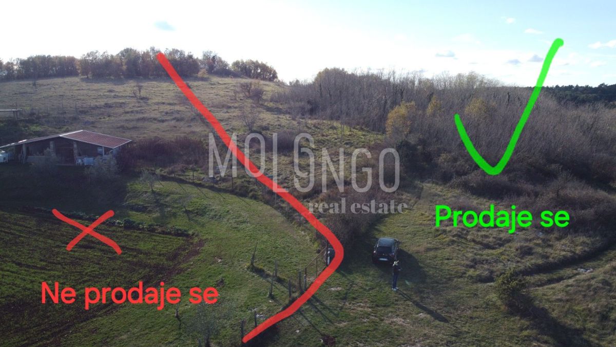 Zemljišče Trviž, Pazin - Okolica, 20.700m2