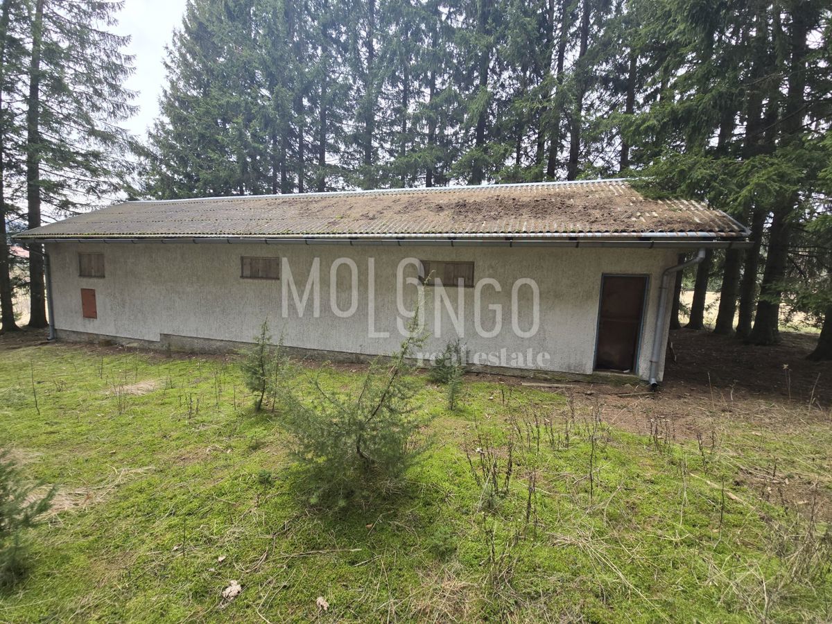 Poslovni prostor Ravna Gora, 106m2