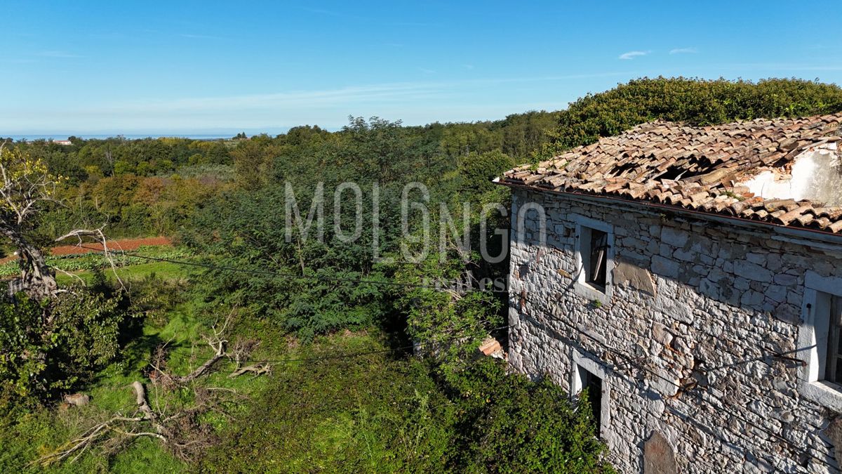 Zemljišče Vižinada, 5.000m2