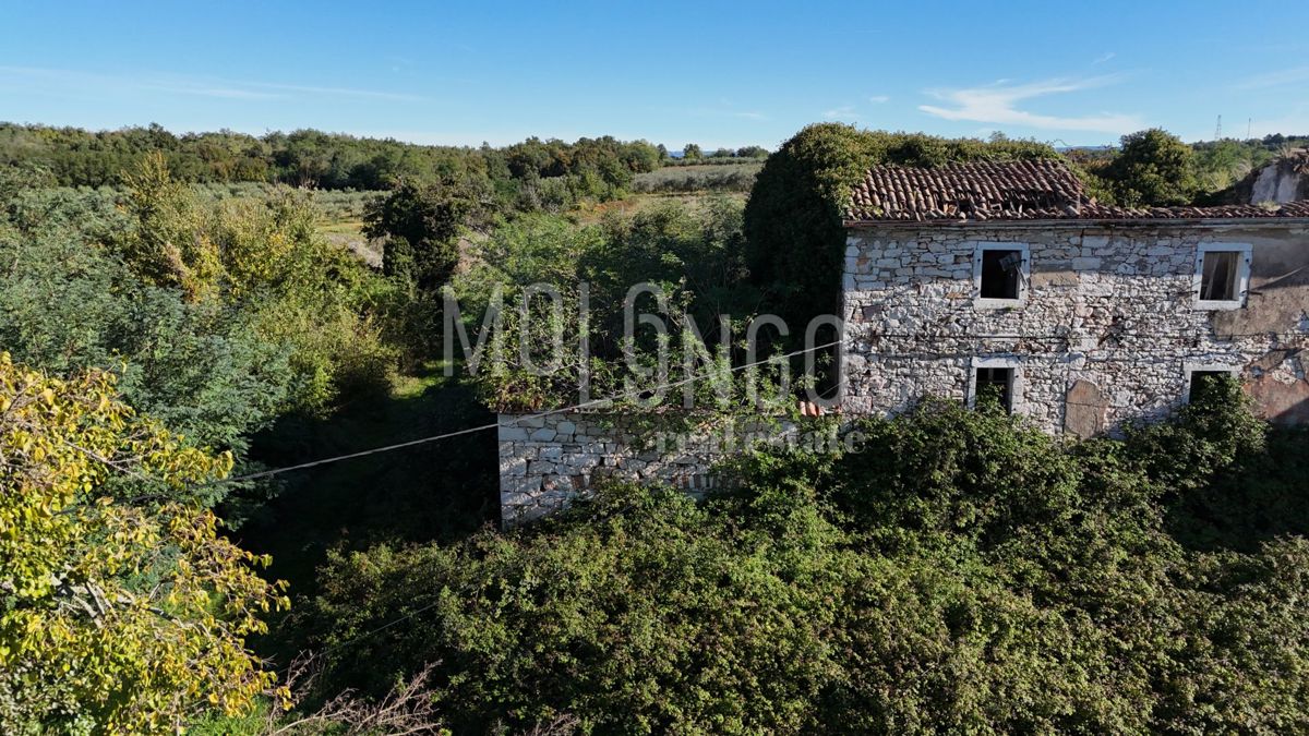 Zemljišče Vižinada, 5.000m2