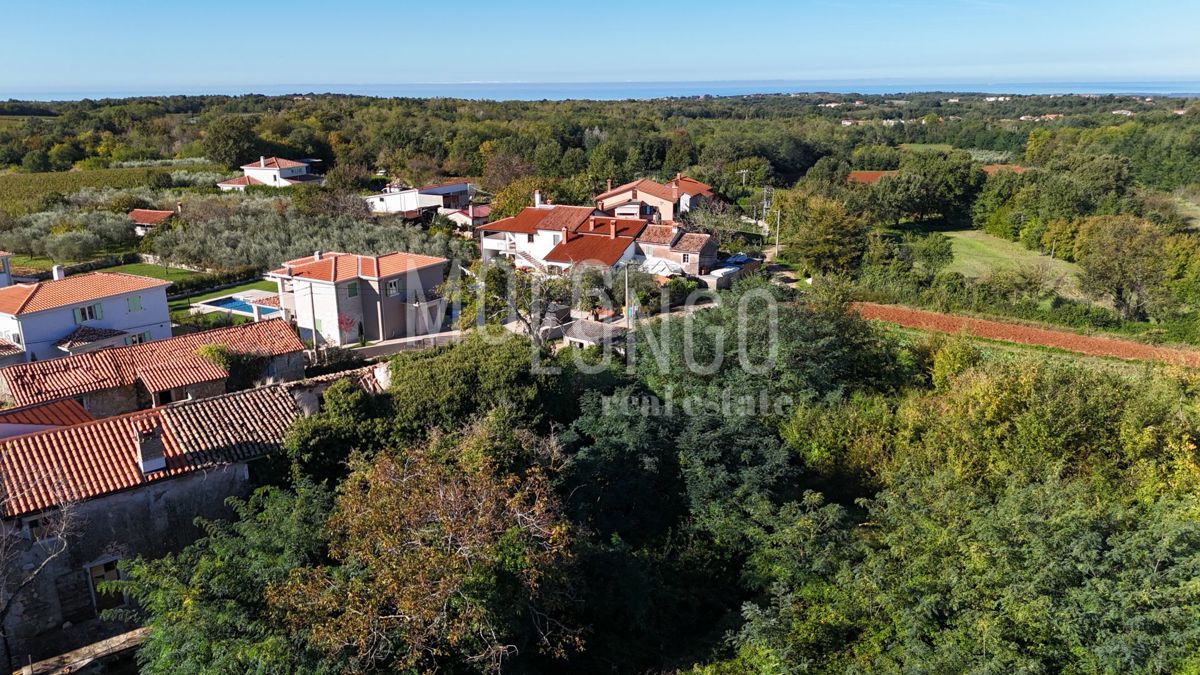 Zemljišče Vižinada, 5.000m2