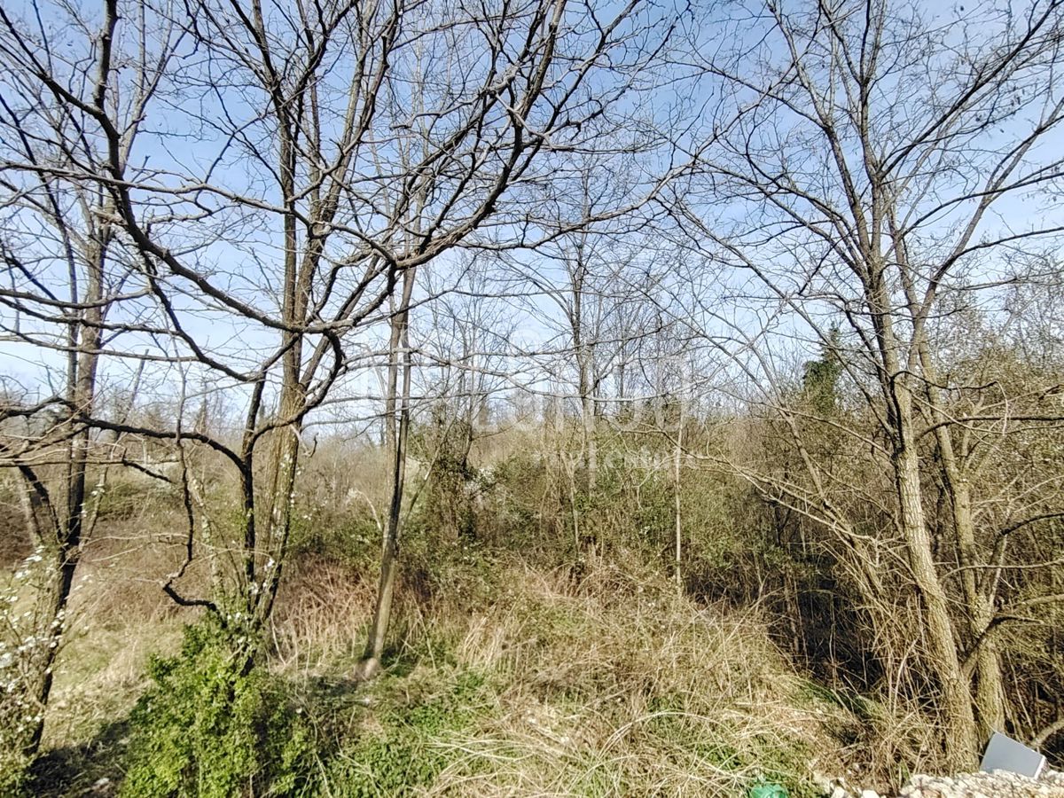 Zemljišče Jurdani, Matulji, 7.500m2