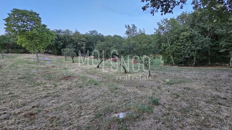 Zemljišče Jakovici, Tinjan, 3,62m2