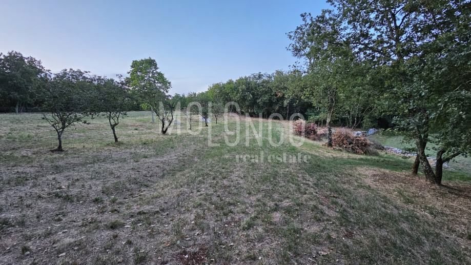 Zemljišče Jakovici, Tinjan, 3,62m2