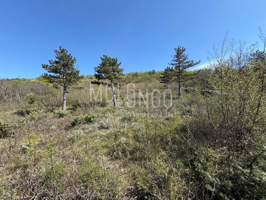 Zemljišče Crikvenica, 649m2