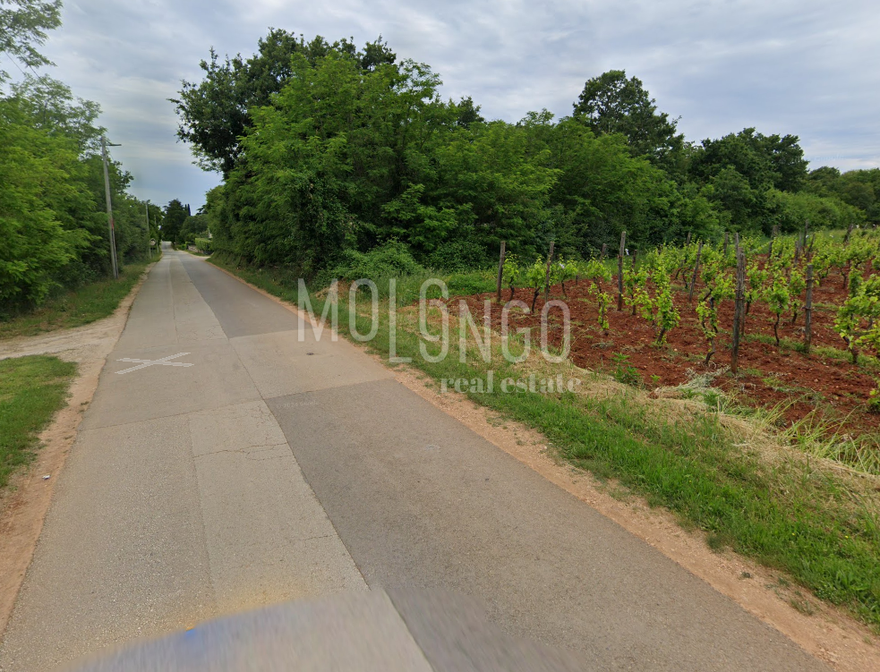 Zemljišče Buići, Poreč, 4.447m2