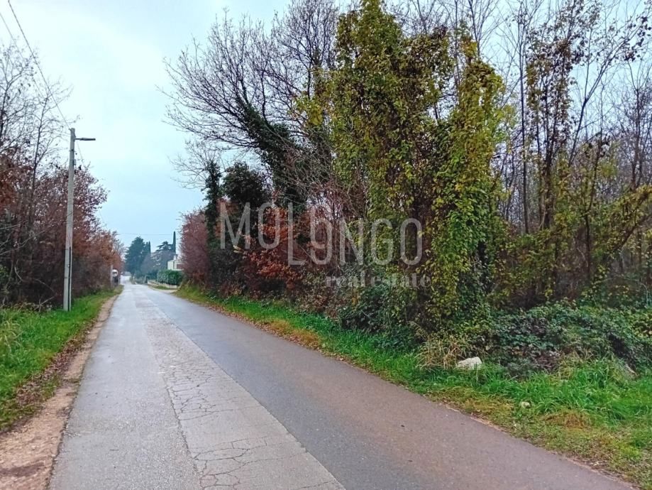 Zemljišče Buići, Poreč, 4.447m2