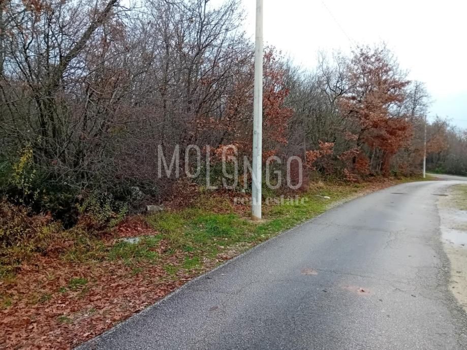 Zemljišče Buići, Poreč, 4.447m2