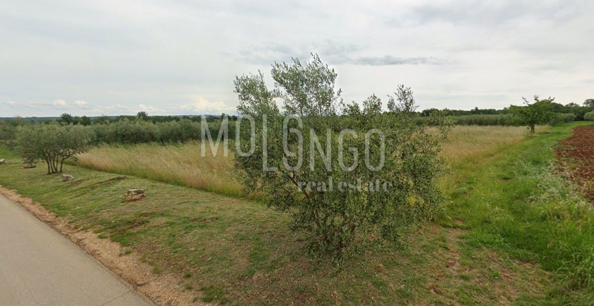 Zemljišče Tar, Tar-Vabriga, 3.496m2