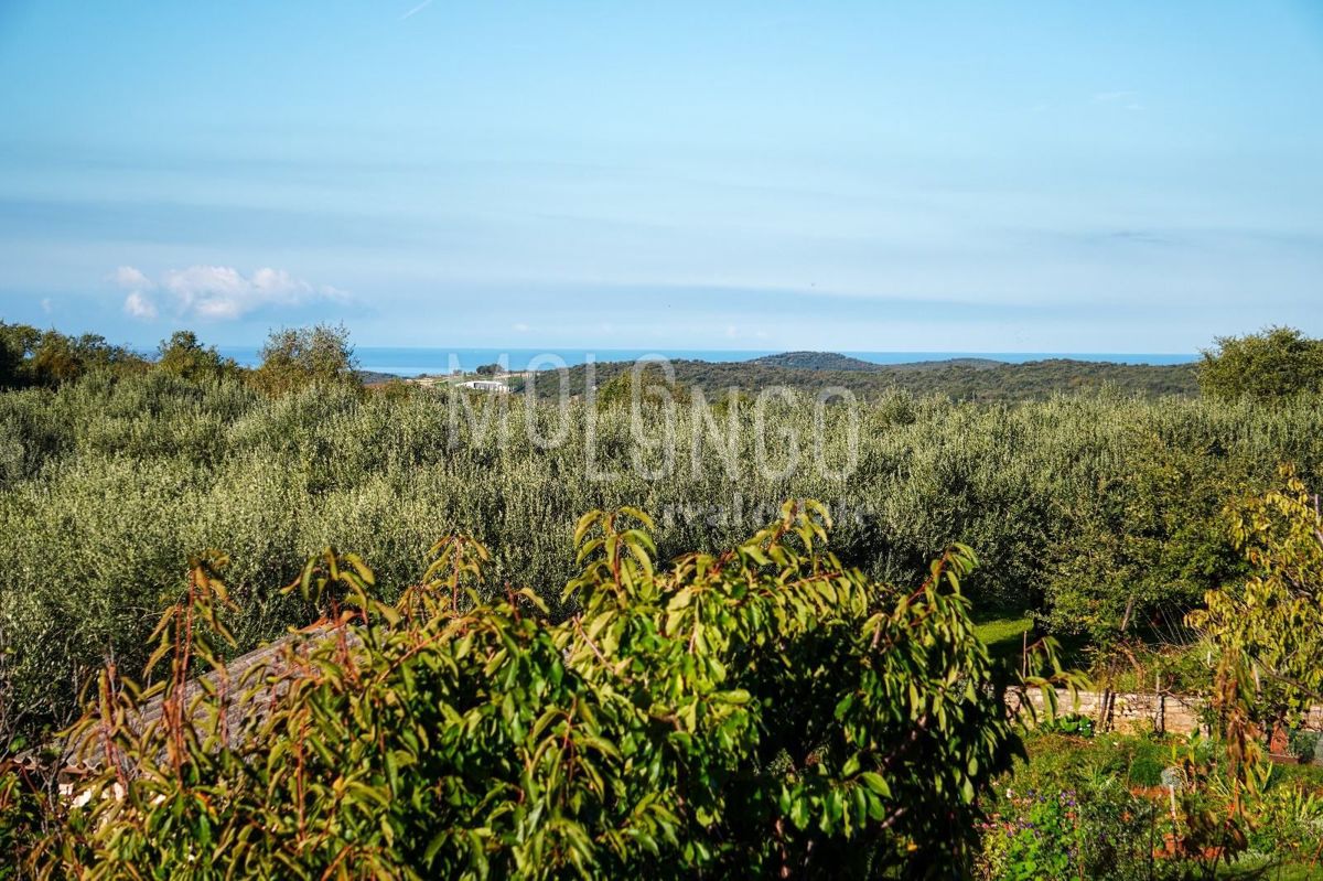 ISTRA, ROVINJ – PRILOŽNOST! Tiho stanovanje 6 km od morja