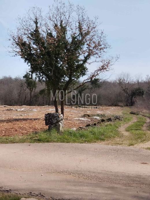 Zemljišče Matulini, Poreč, 2.765m2