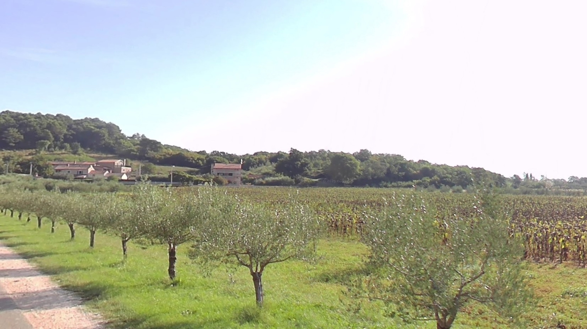 ISTRA, okolica Poreča – Odlično zazidljivo zemljišče na mirni lokaciji