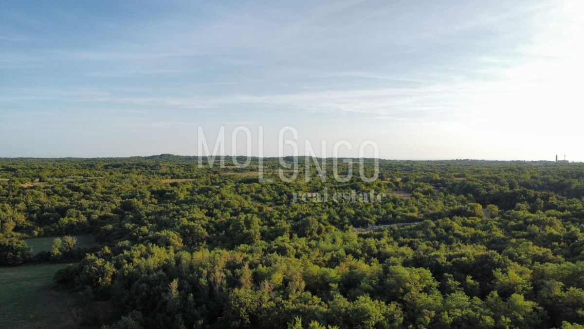 Zemljišče Vodnjan, 916m2