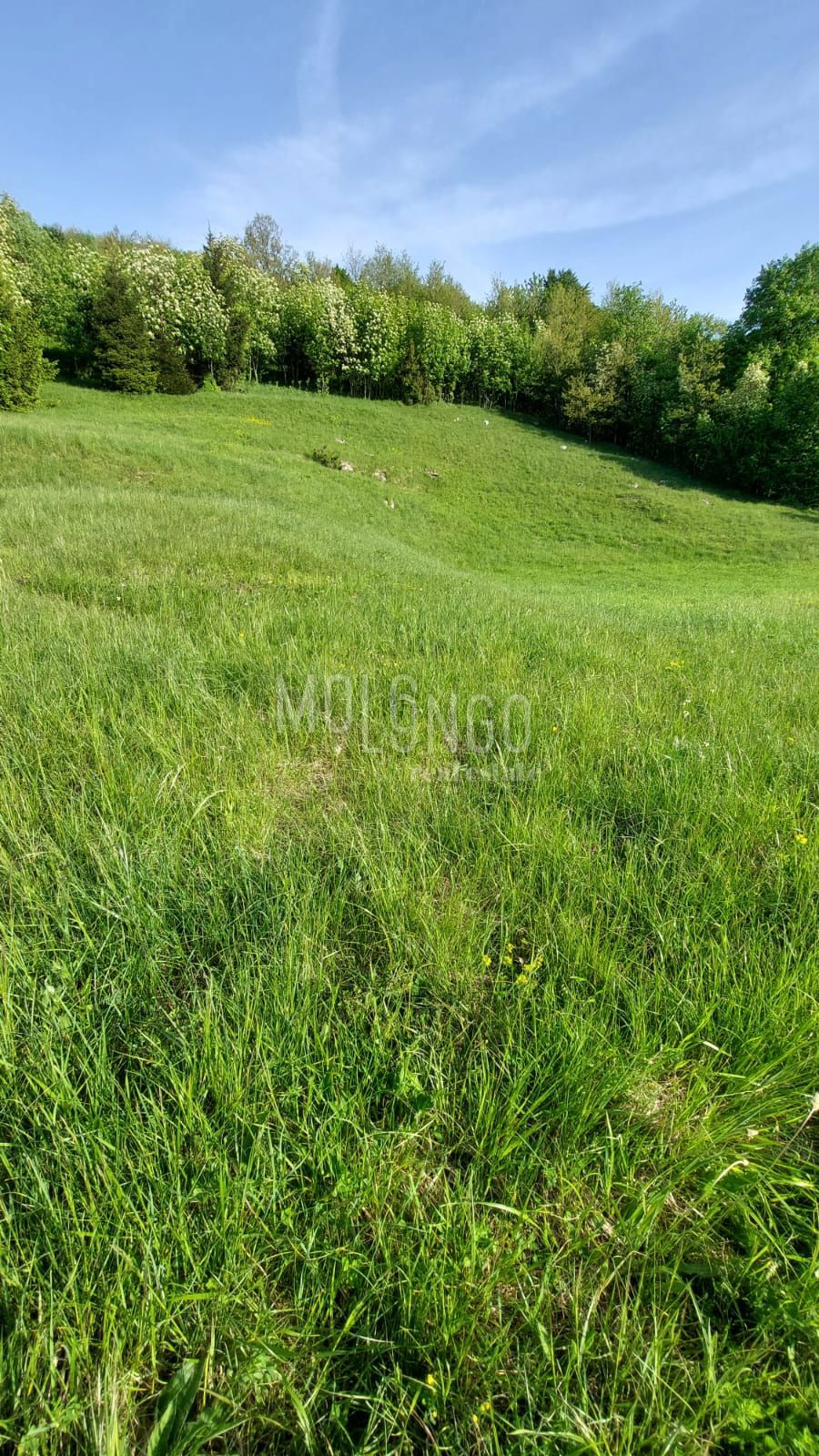 Zemljišče Stubica, Vrbovsko, 6.000m2