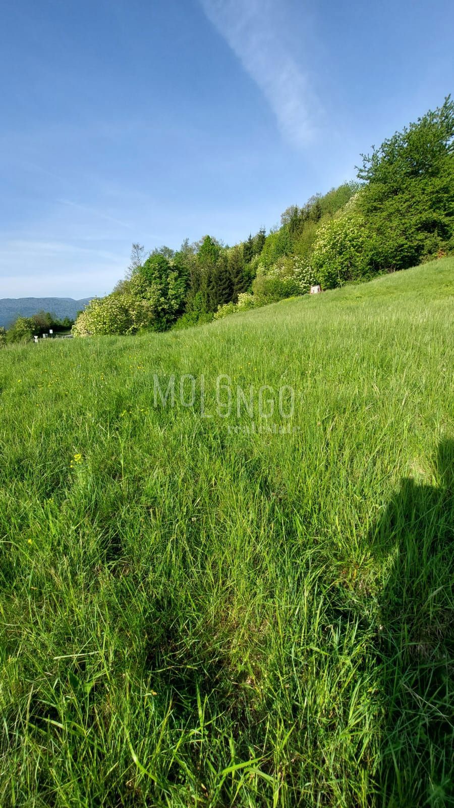 Zemljišče Stubica, Vrbovsko, 6.000m2