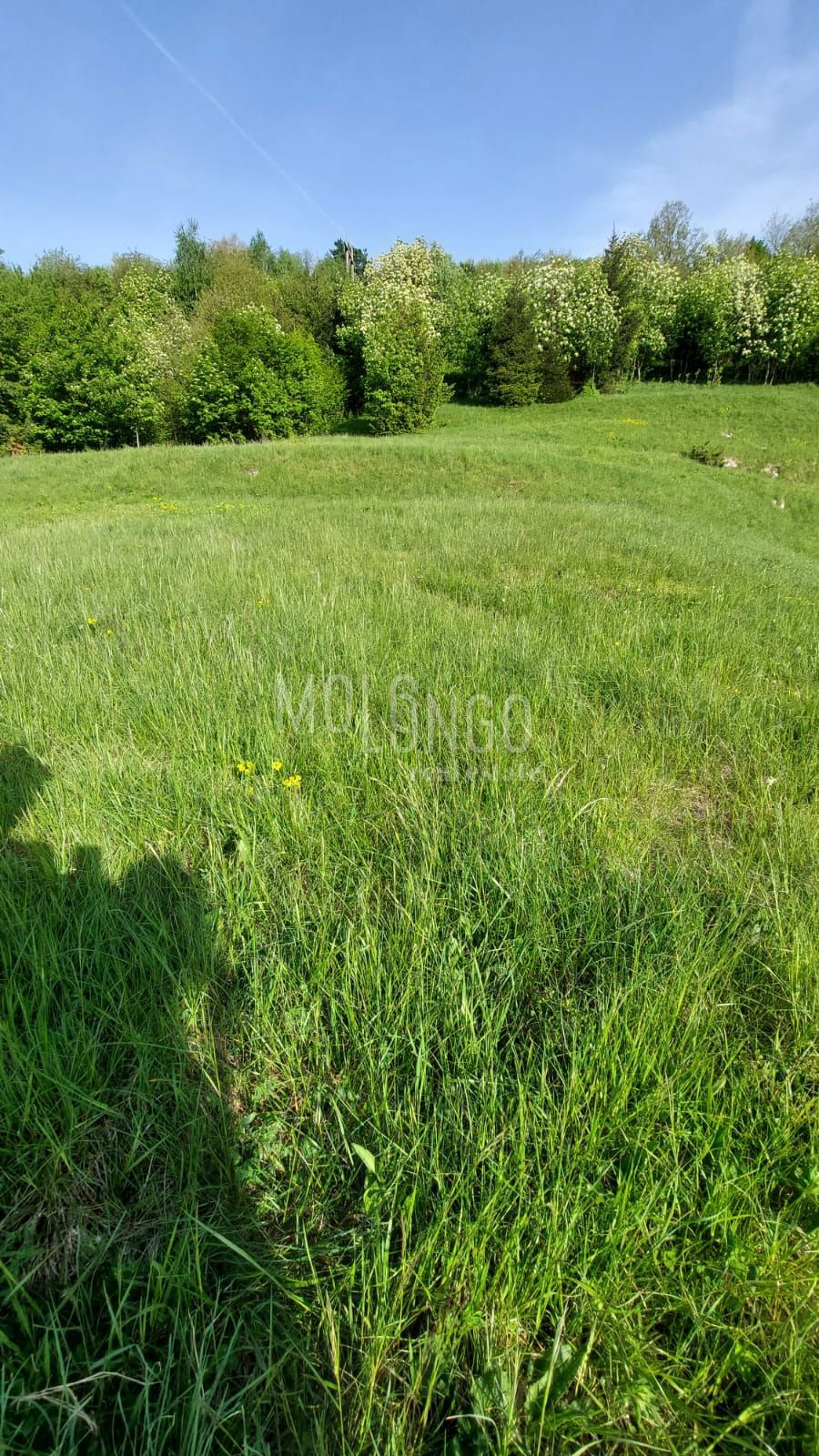 Zemljišče Stubica, Vrbovsko, 6.000m2