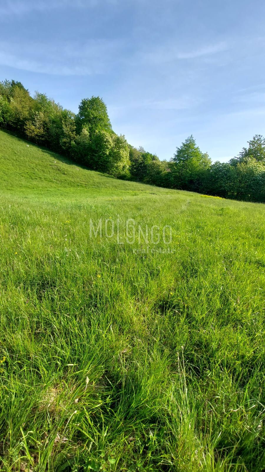 Zemljišče Stubica, Vrbovsko, 6.000m2