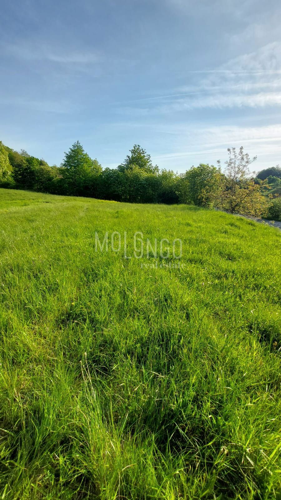 Zemljišče Stubica, Vrbovsko, 6.000m2