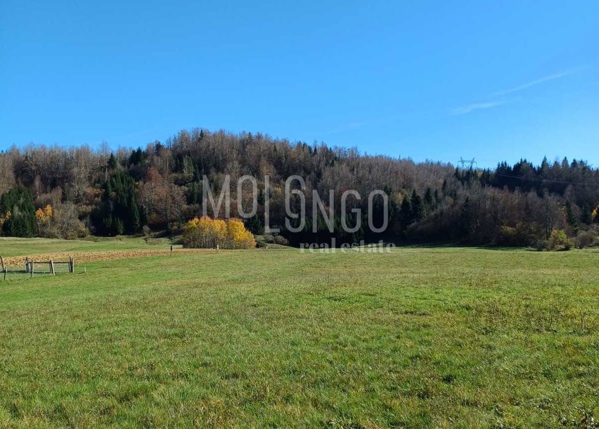 Zemljišče Sunger, Mrkopalj, 7.180m2