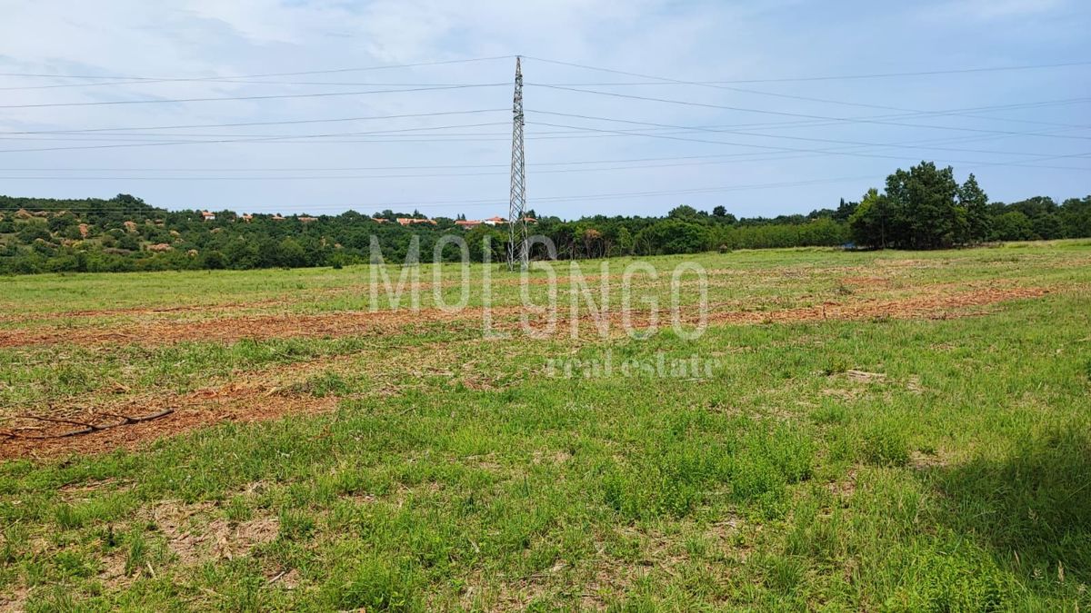 Zemljišče Kršete, Buje, 49.000m2