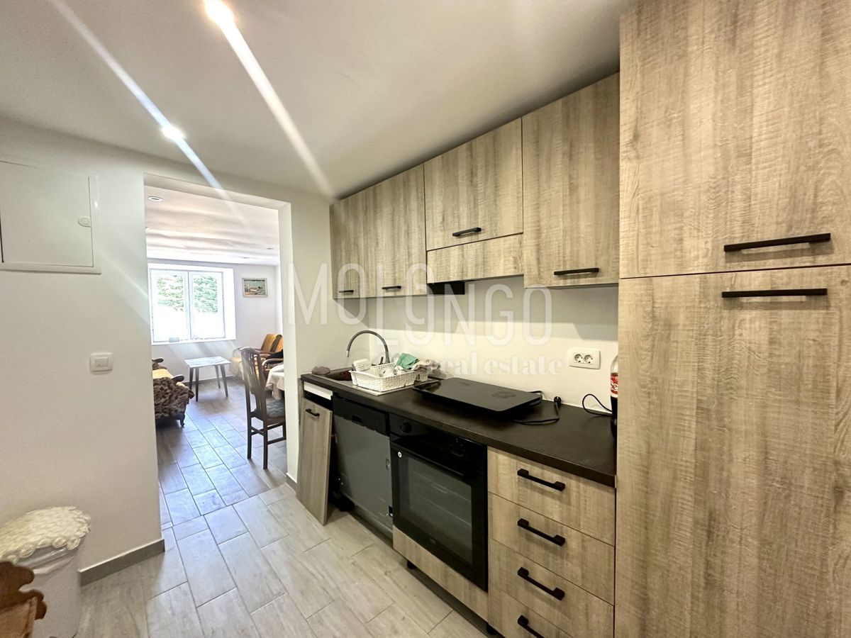 Stanovanje/apartma Fužine, 65m2