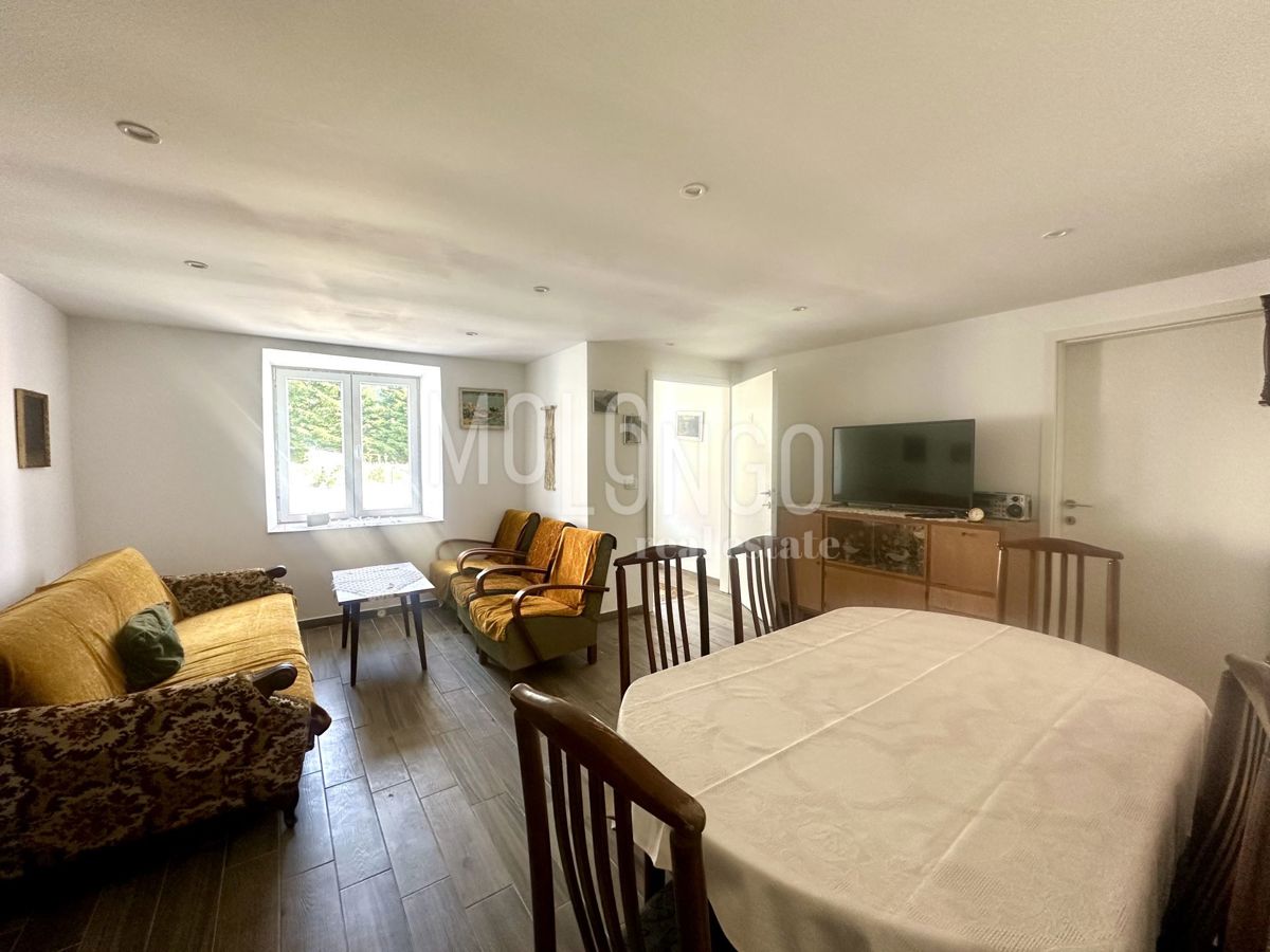 Stanovanje/apartma Fužine, 65m2