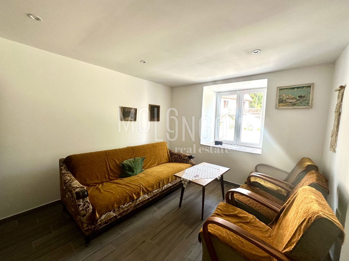Stanovanje/apartma Fužine, 65m2