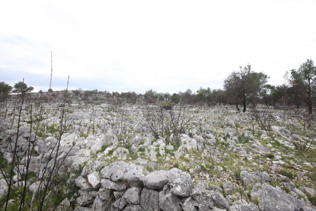 Vodice, kmetijsko zemljišče z možnostjo gradnje