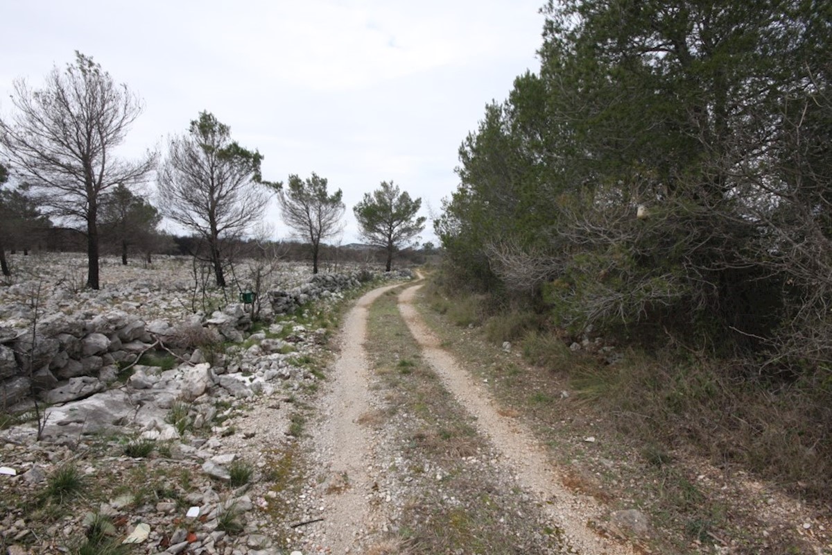 Vodice, kmetijsko zemljišče z možnostjo gradnje