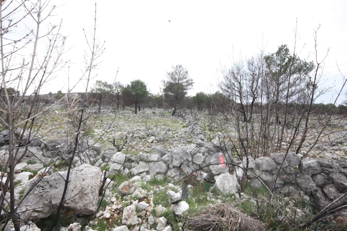 Vodice, kmetijsko zemljišče z možnostjo gradnje