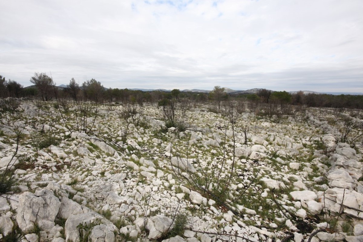 Vodice, kmetijsko zemljišče z možnostjo gradnje