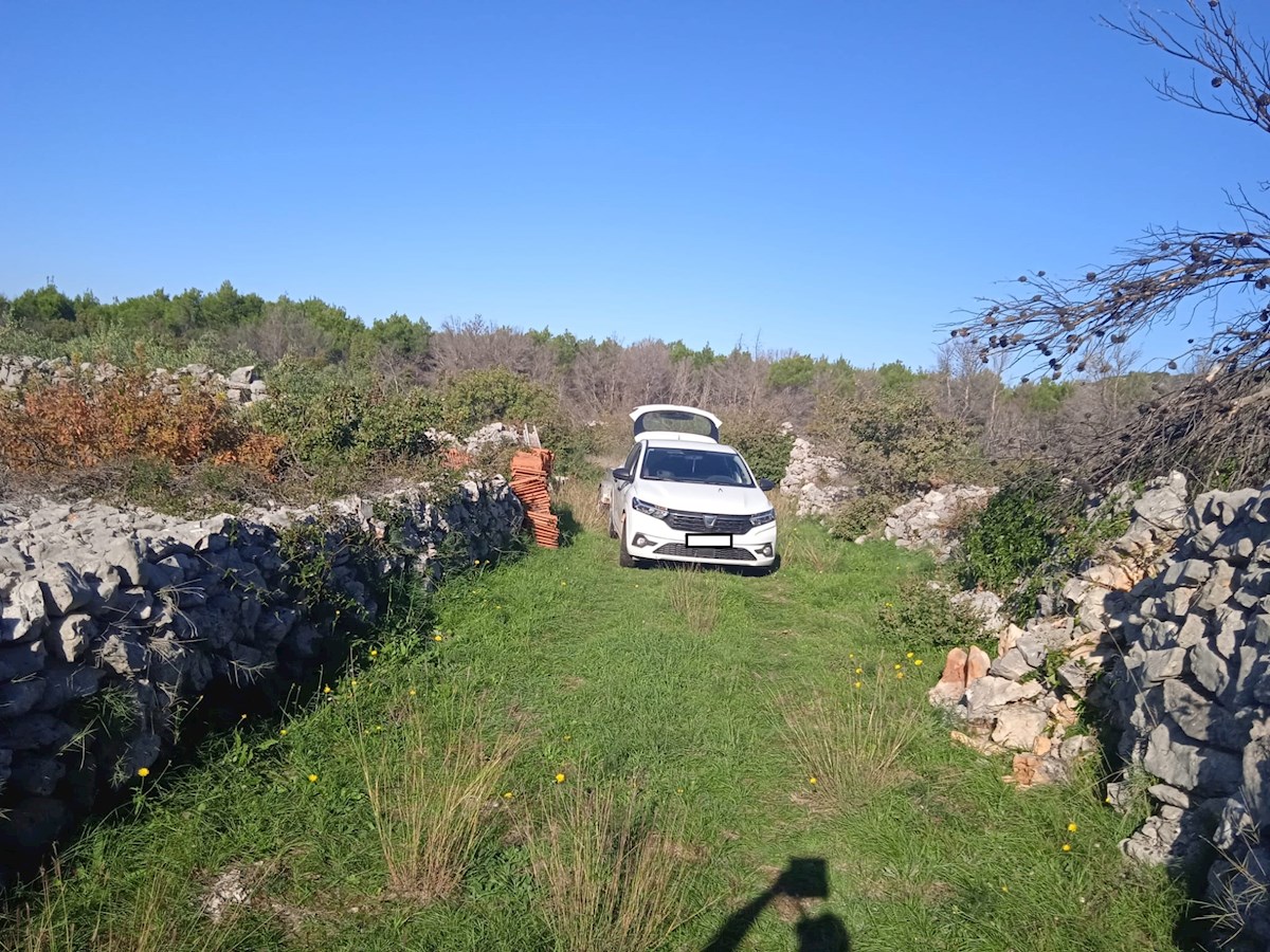 Vodice, lep in urejen oljčnik