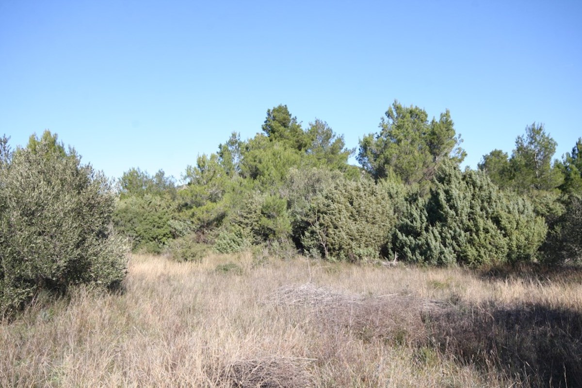 Vodice, kmetijsko zemljišče v zaledju mesta