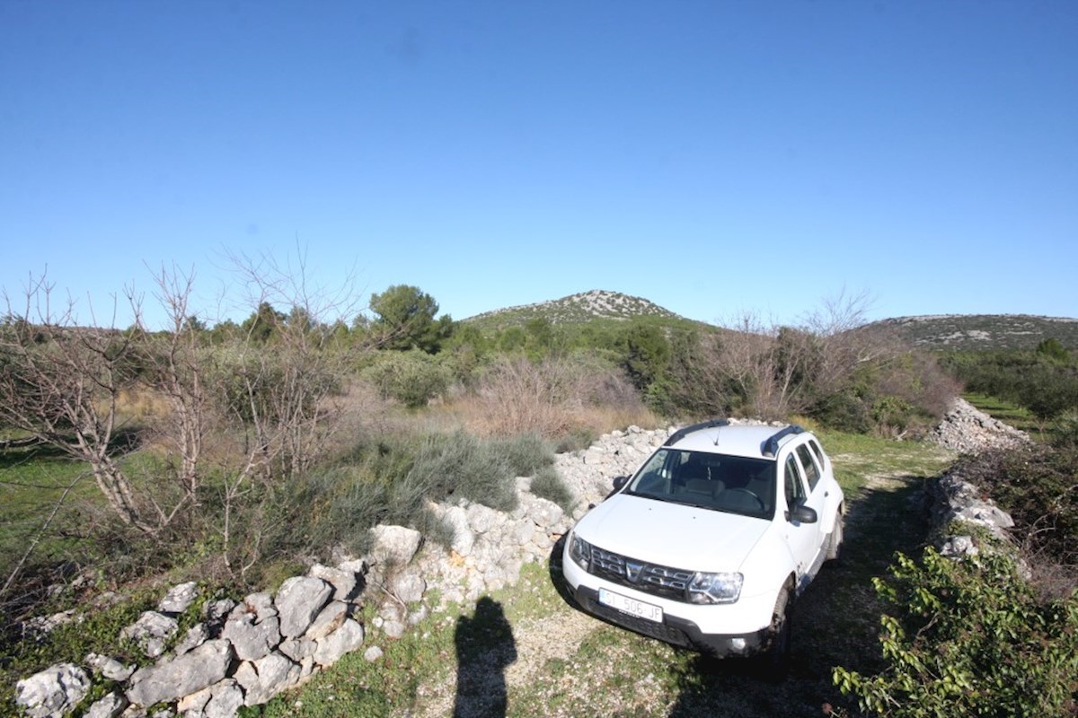 Vodice, kmetijsko zemljišče v zaledju mesta