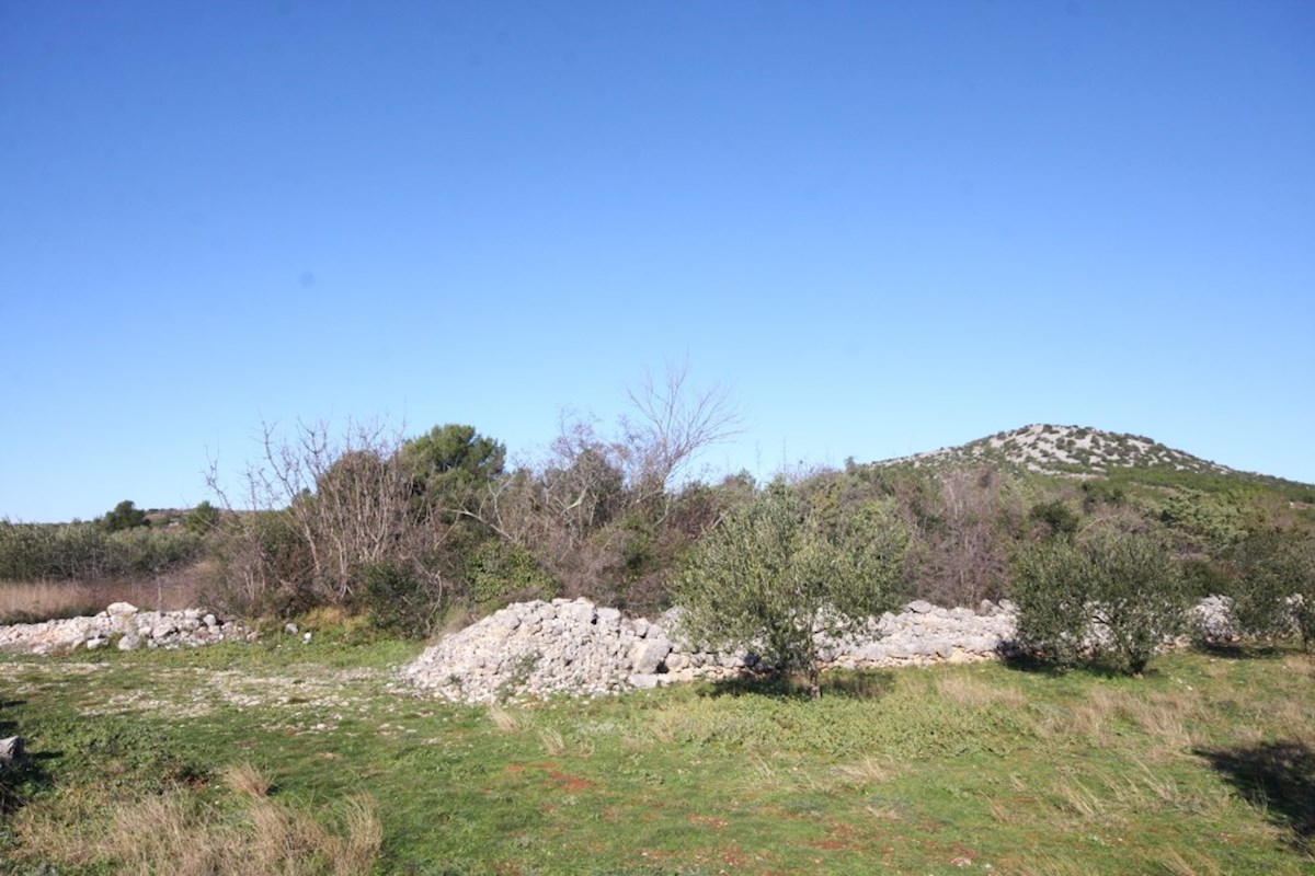 Vodice, kmetijsko zemljišče v zaledju mesta