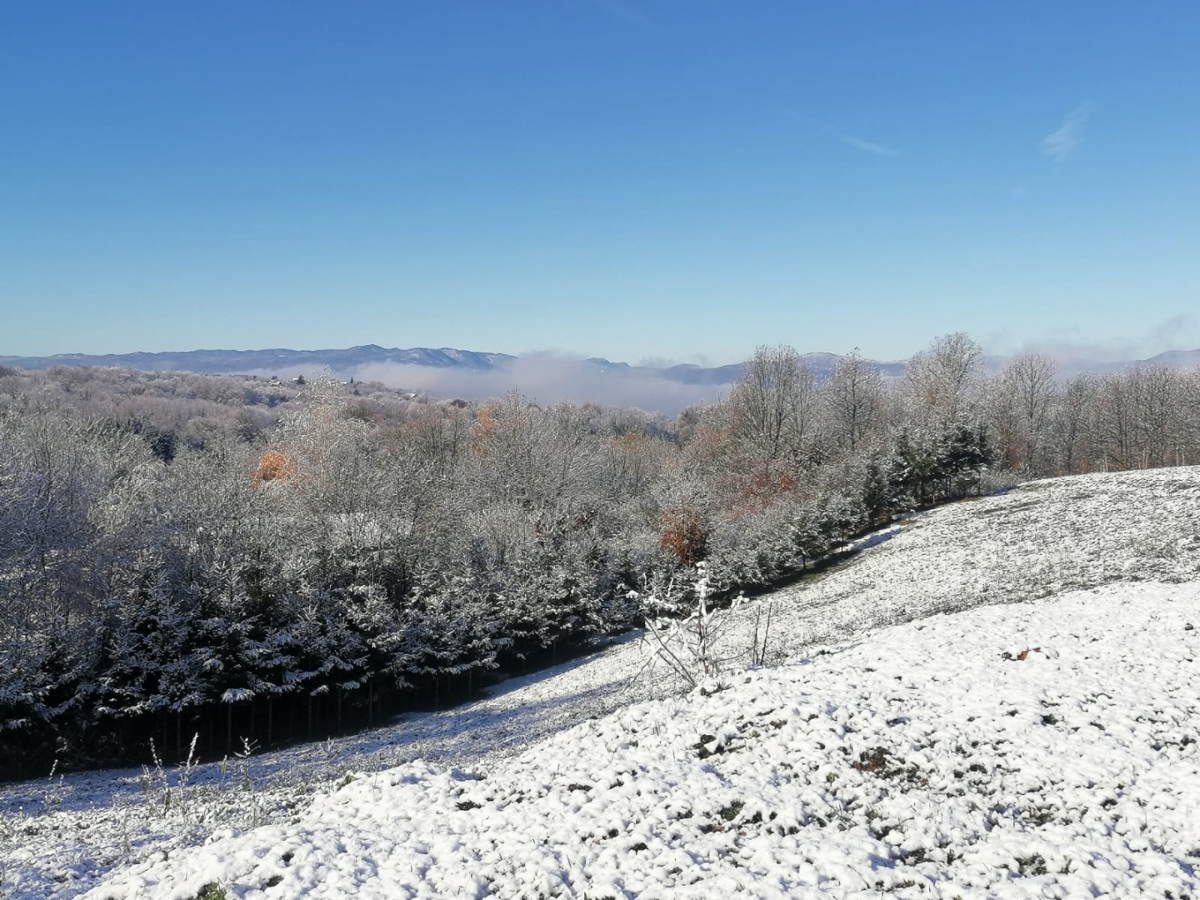 OZALJ - Moderna samostojna hiša