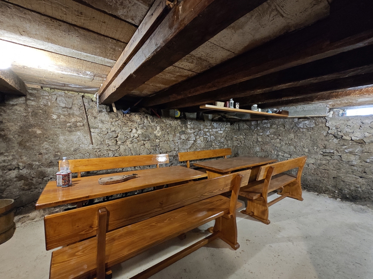 MRKOPALJ - Samostojna hiša z vrtom